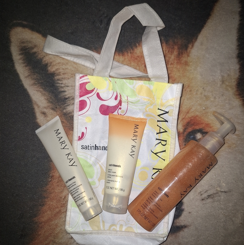 Mary Kay Skincare Set with Bag